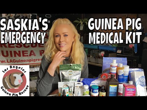 Guinea Pig Medicine Cabinet and Emergency Kit by Saskia