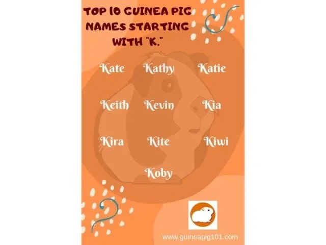 Guinea Pig name starting with k