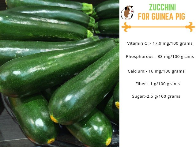 zucchini for guinea pigs