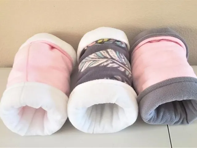 Can Guinea pigs eat Blueberries? (Serving Size, Benefits & Hazards) etsy Reversible Fleece Tunnel for Guinea Pig