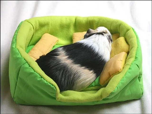 etsy guinea pig sofa pet fleece bedding with absorbent pee pad and pillows