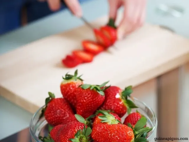 guinea pigs and strawberries