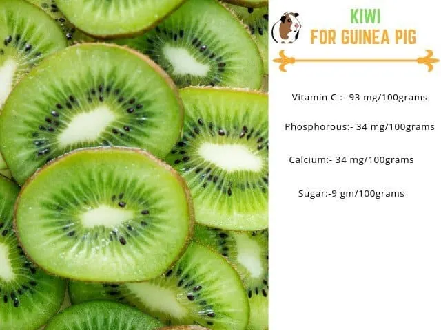 Benefits of kiwi for guinea pigs
