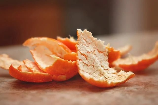 Guinea pig eat clearance oranges