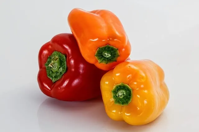 What bell peppers can guinea pigs eat?