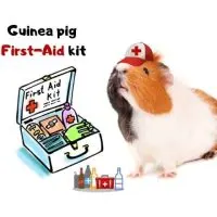 Guinea pig first aid kit