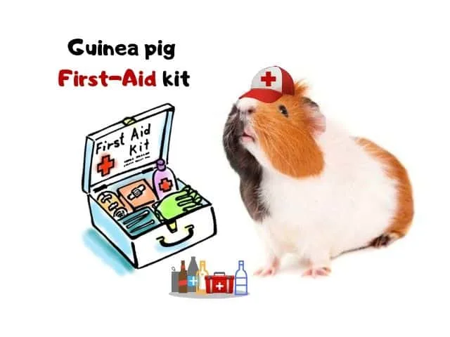 Guinea pig first aid kit