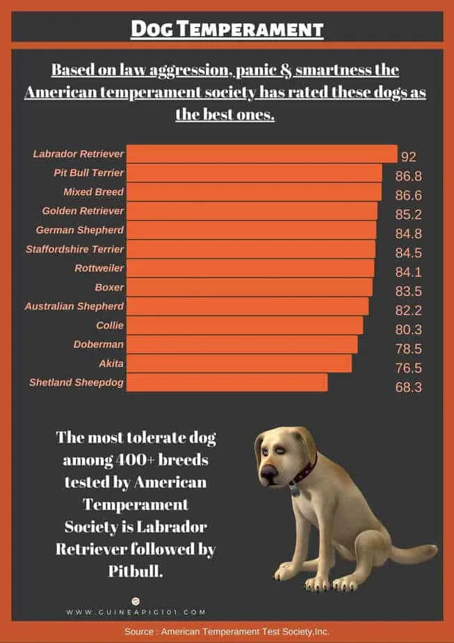 dog's temperament