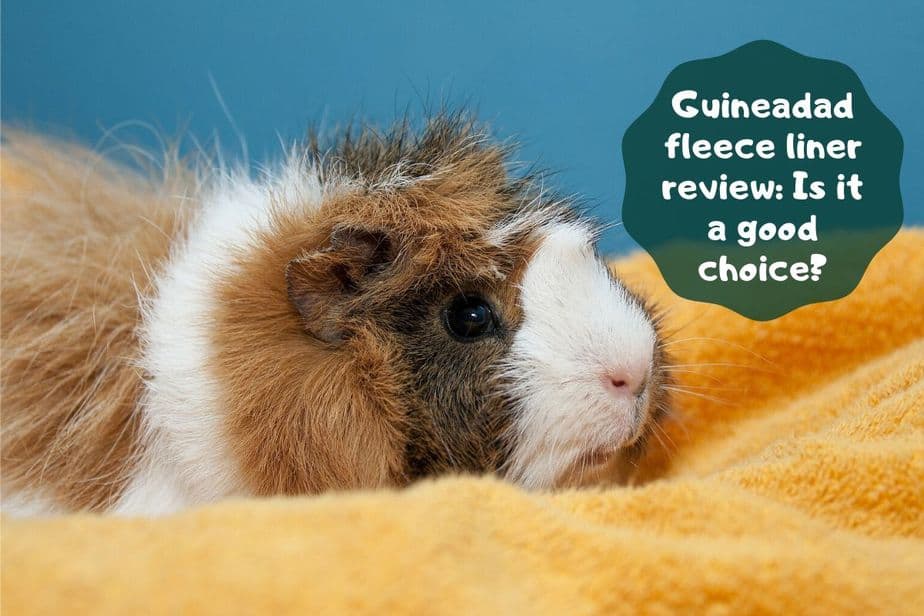 diy guinea pig liner