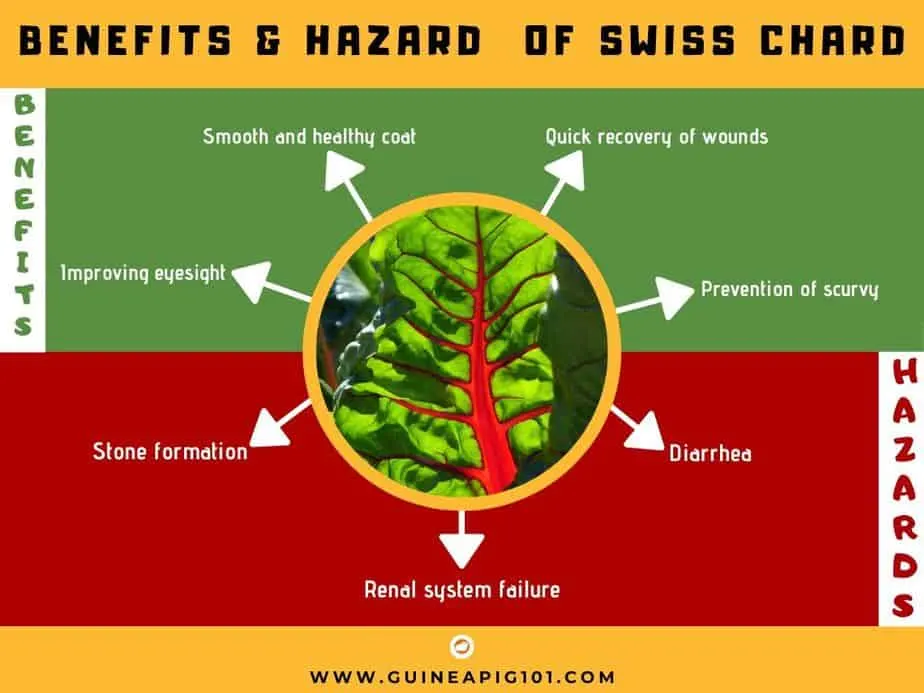 BENEFITS & HAZARD OF SWISS CHARD