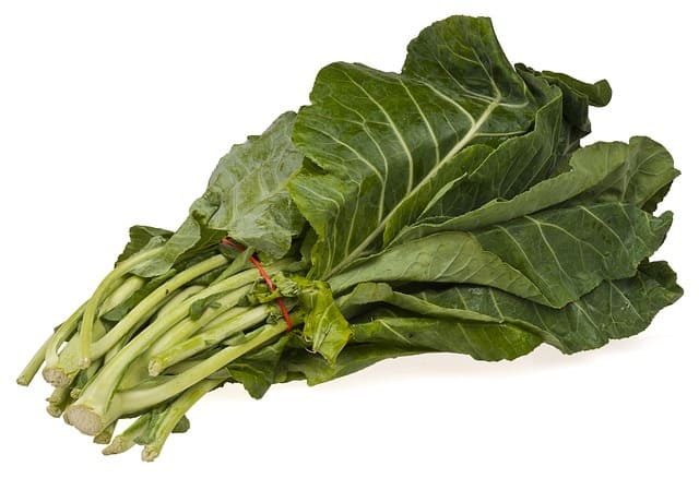 Best Leafy Greens For Guinea Pigs(+Serving Size)