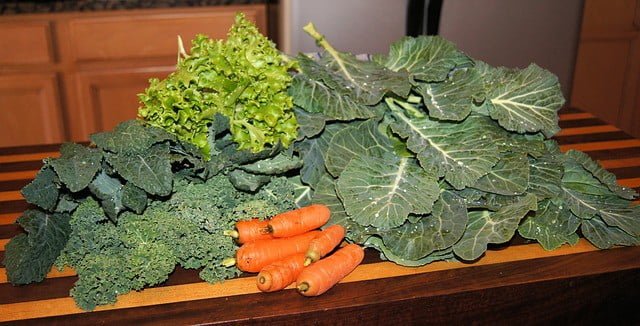 How often can guinea pigs eat collard greens?