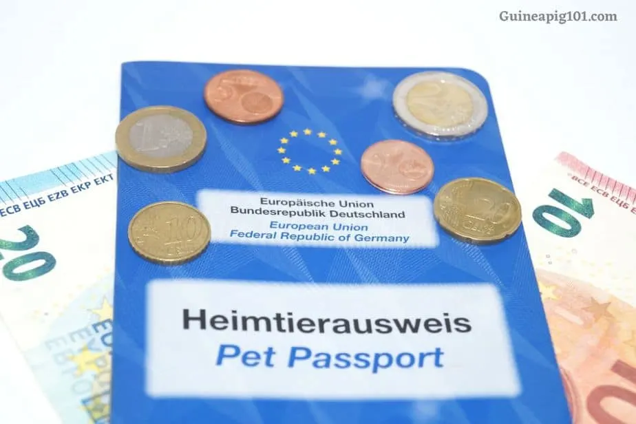 Do guinea pigs need a pet passport?