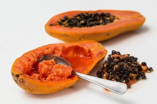 Can guinea pigs eat papaya seeds?