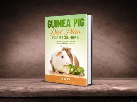 Raw Guinea Pig Diet Consulting photo