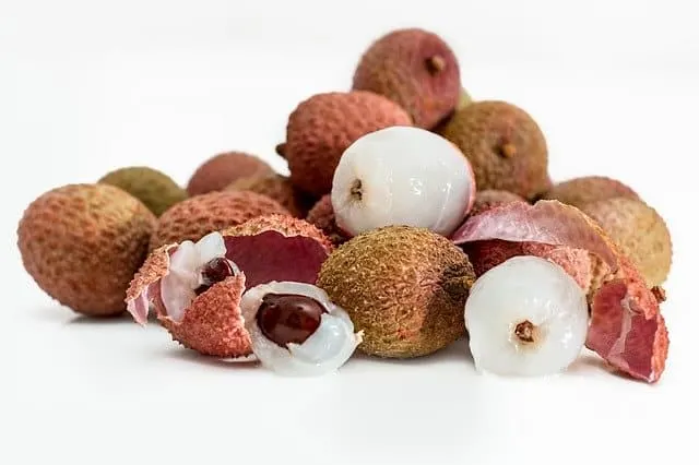 Is lychee good for our guinea pigs?