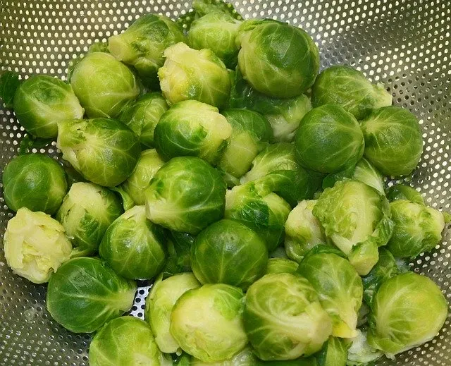 Guinea pig hotsell and brussel sprouts