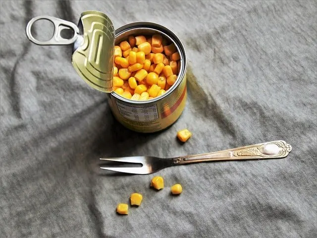 Can guinea pigs eat canned corn?