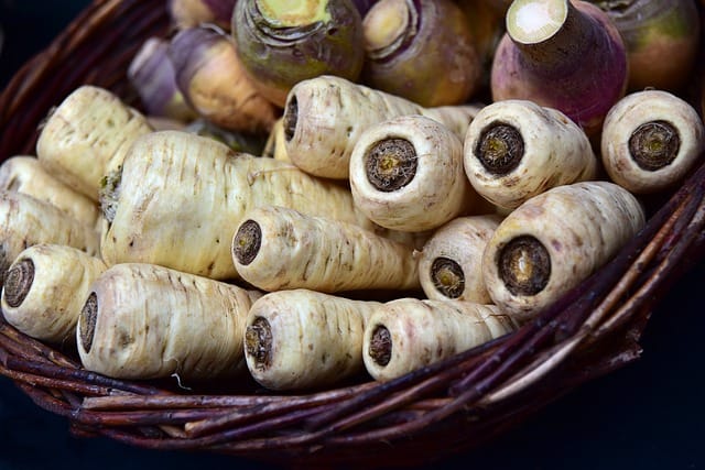 Are parsnips good for guinea pigs? 