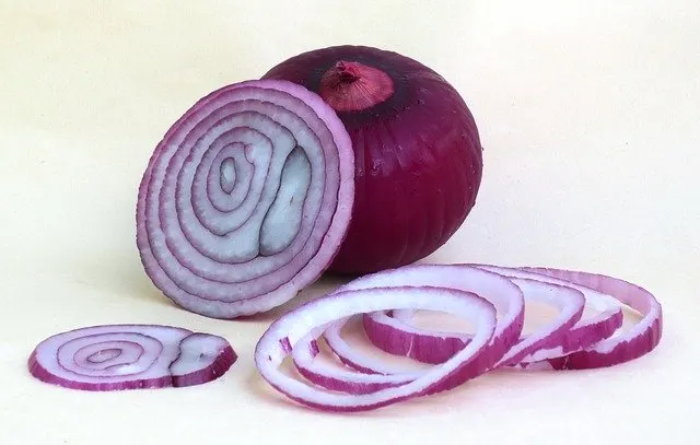 Can guinea pig eat red onion?