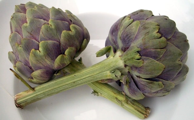 How much artichoke can guinea pigs eat at a time?