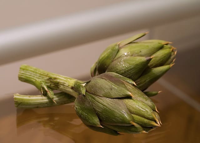 Do guinea pigs like an artichoke?