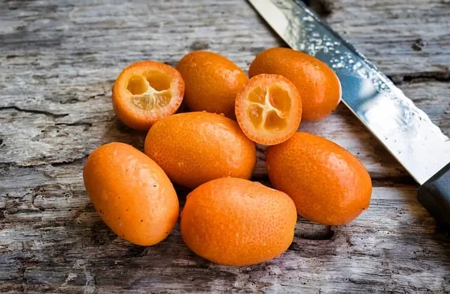 How to prepare kumquat for guinea pigs?