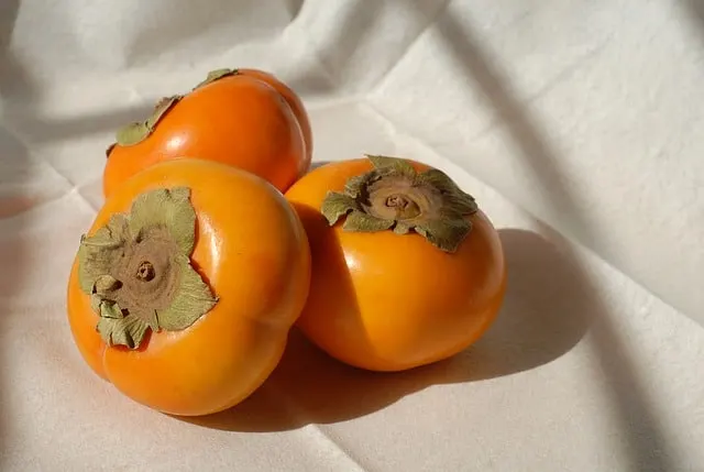 Persimmon health benefits to guinea pigs?