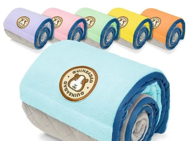 Can Guinea Pigs Eat Strawberries? (Serving Size, Benefits, Risks & More) Esty Guineadad fleece liners