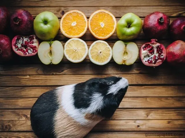do guinea pigs eat pomegranate