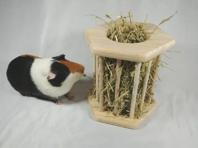 esty Wooden farm-style hay rack For Guinea pigs