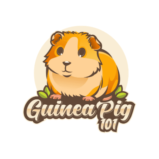 can guinea pigs eat lychee